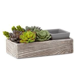 Suc-cute-lent Scentsy Wax Warmer Succulent
